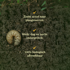 Joyfields Aaltjes tegen engerlingen (Heterorhabditis bacteriophora) [nl]