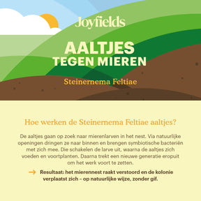 Joyfields Aaltjes tegen mieren (Steinernema feltiae) [nl]