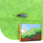 Joyfields Aaltjes tegen rouwvliegjes (Steinernema feltiae) [nl]