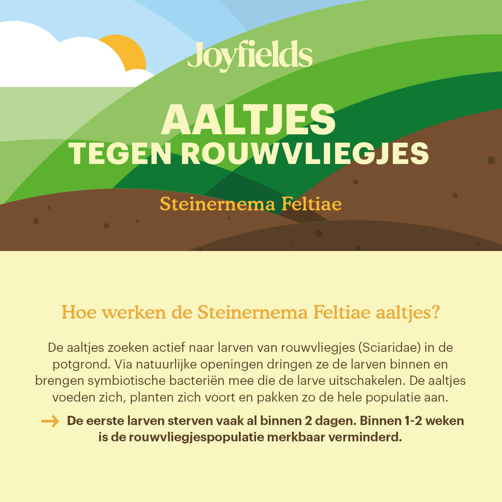Joyfields Aaltjes tegen rouwvliegjes (Steinernema feltiae) [nl]