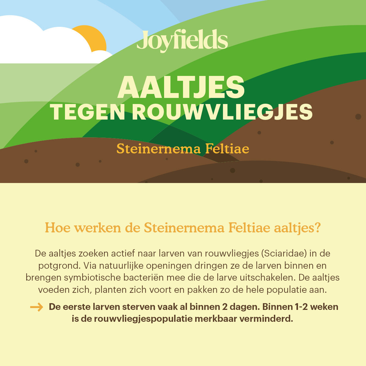Joyfields Aaltjes tegen rouwvliegjes (Steinernema feltiae) [nl]