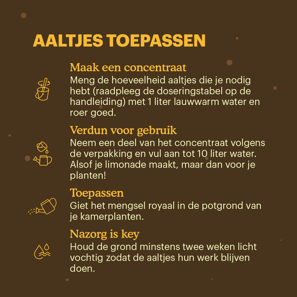 Joyfields Aaltjes tegen rouwvliegjes (Steinernema feltiae) [nl]