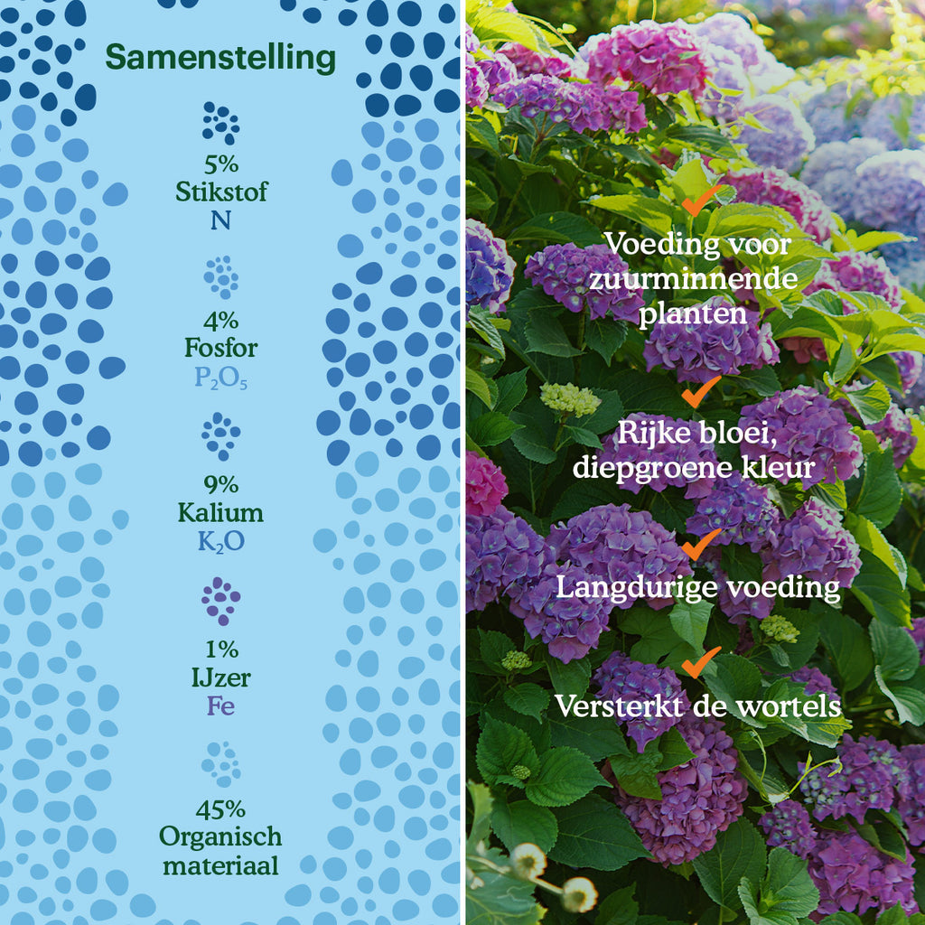 Joyfields Color Plus – Rhodo, Hortensia en Azalea meststof - 3 kg [nl]