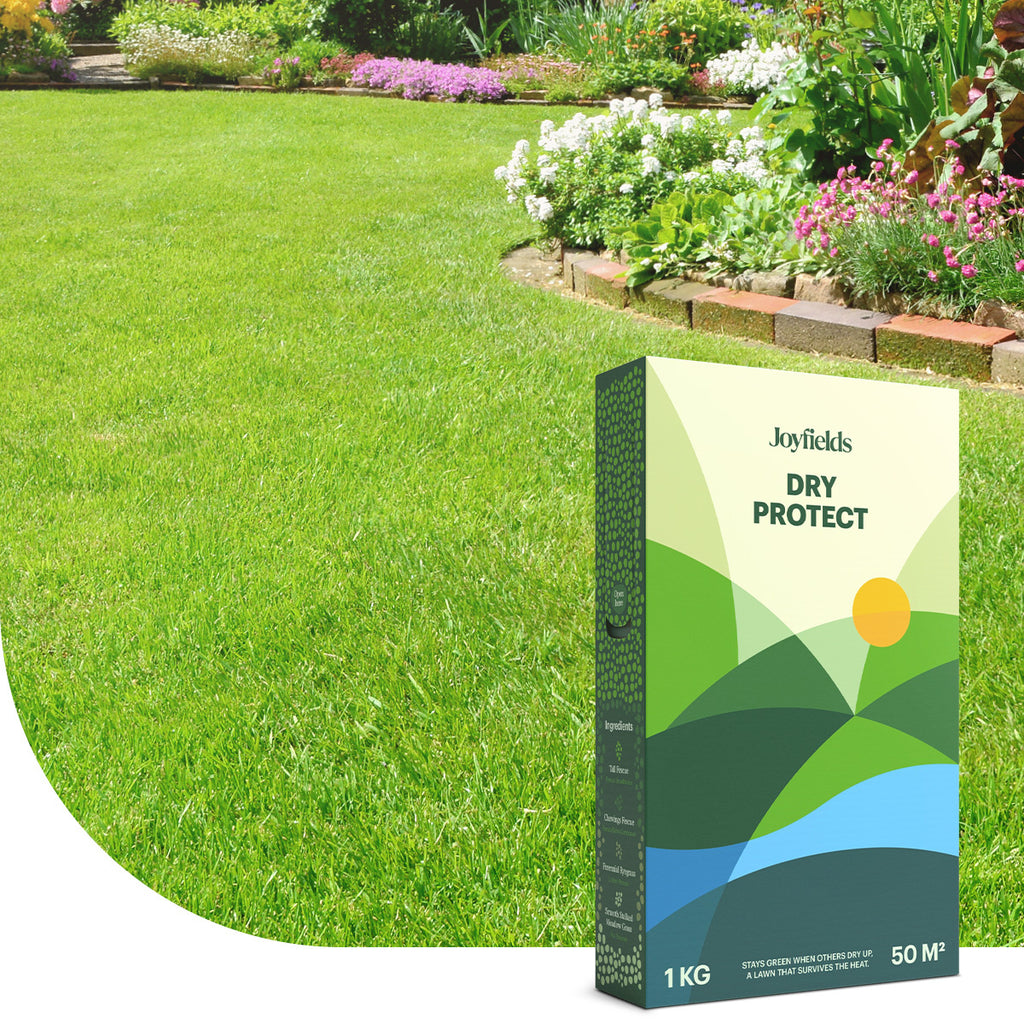 Joyfields Dry Protect – Droogtebestendig graszaad