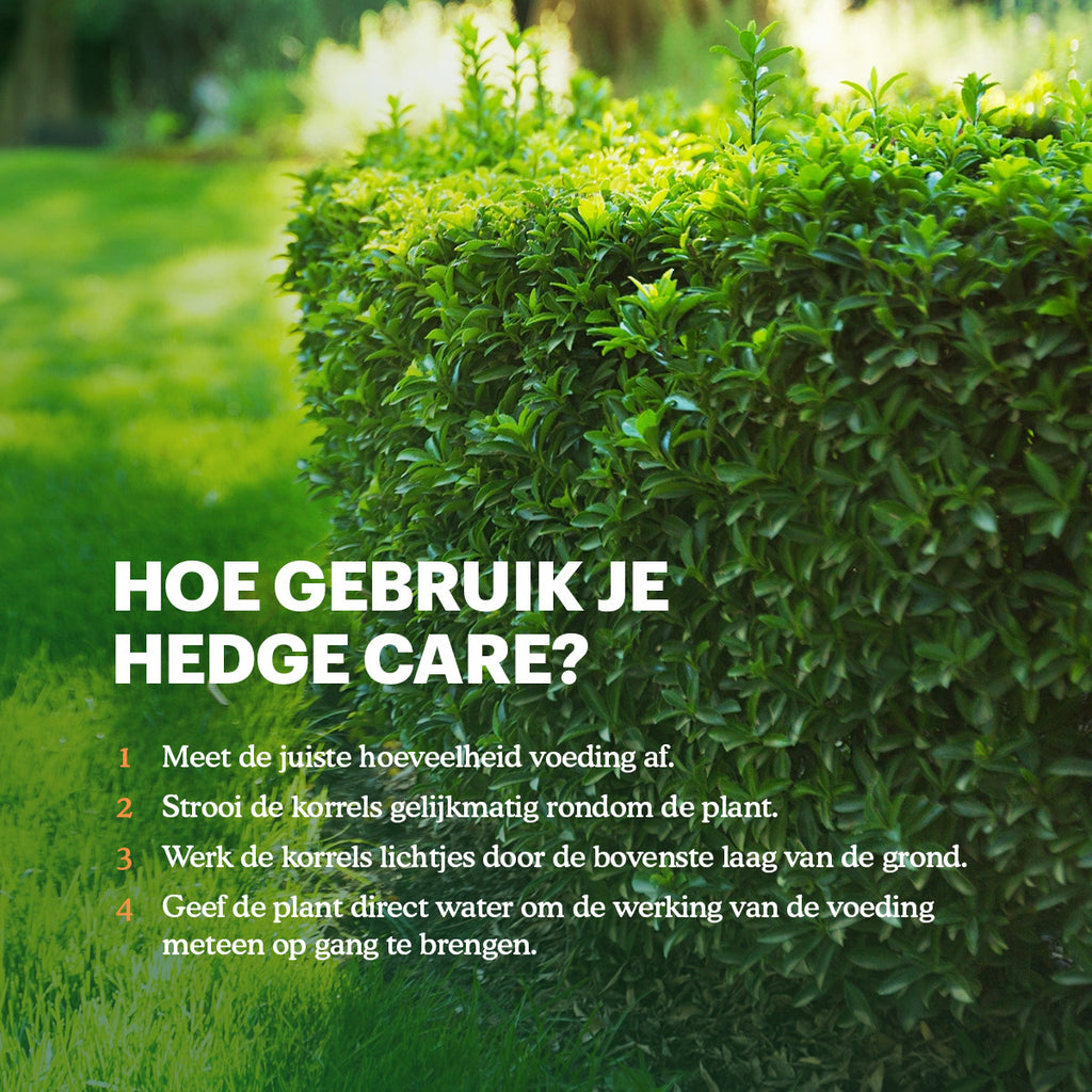 Joyfields Hedge Care – Hagen, Taxus & Coniferen Meststof - 3 kg [nl]