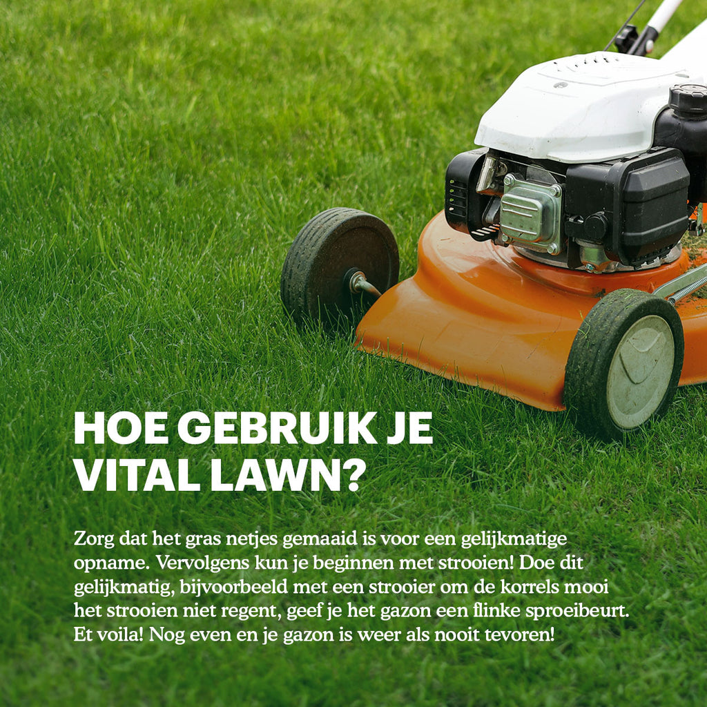 Joyfields Vital Lawn - Gazonmest met kalk - 3 kg [nl]