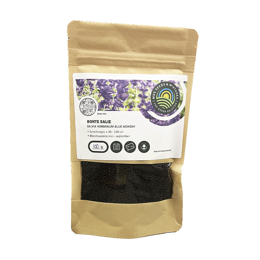 MRS Seeds & Mixtures Bonte Salie - Salvia horminum