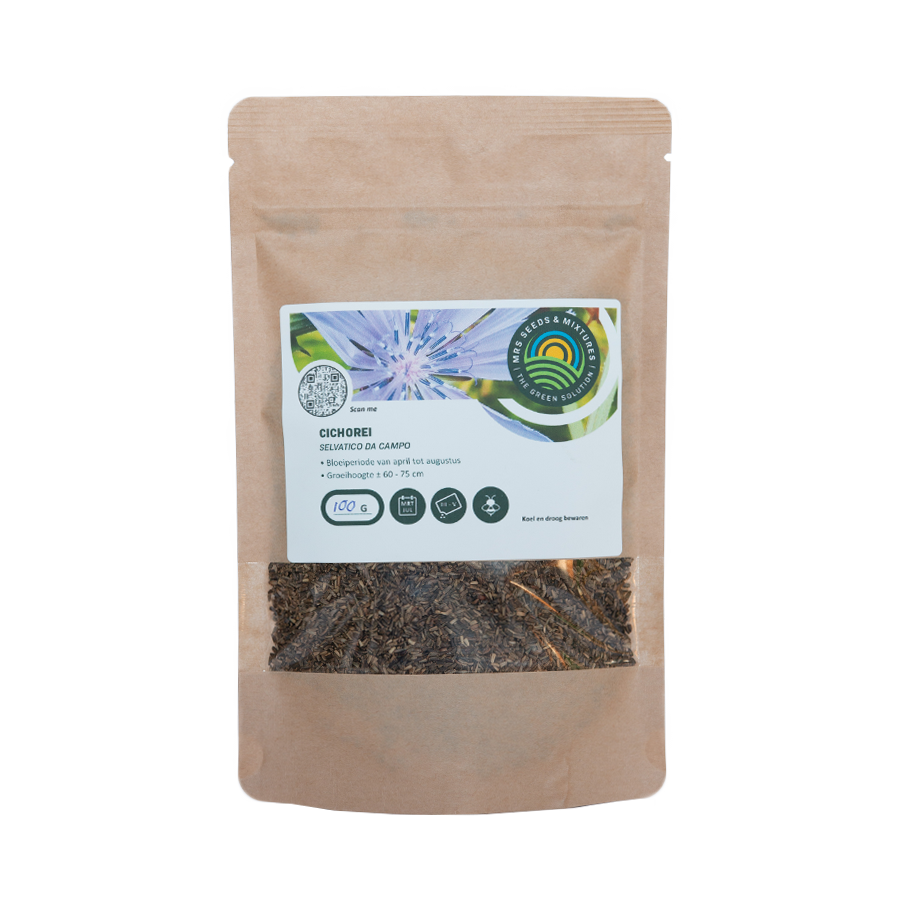 MRS Seeds & Mixtures Cichorei - Selvatico da campo