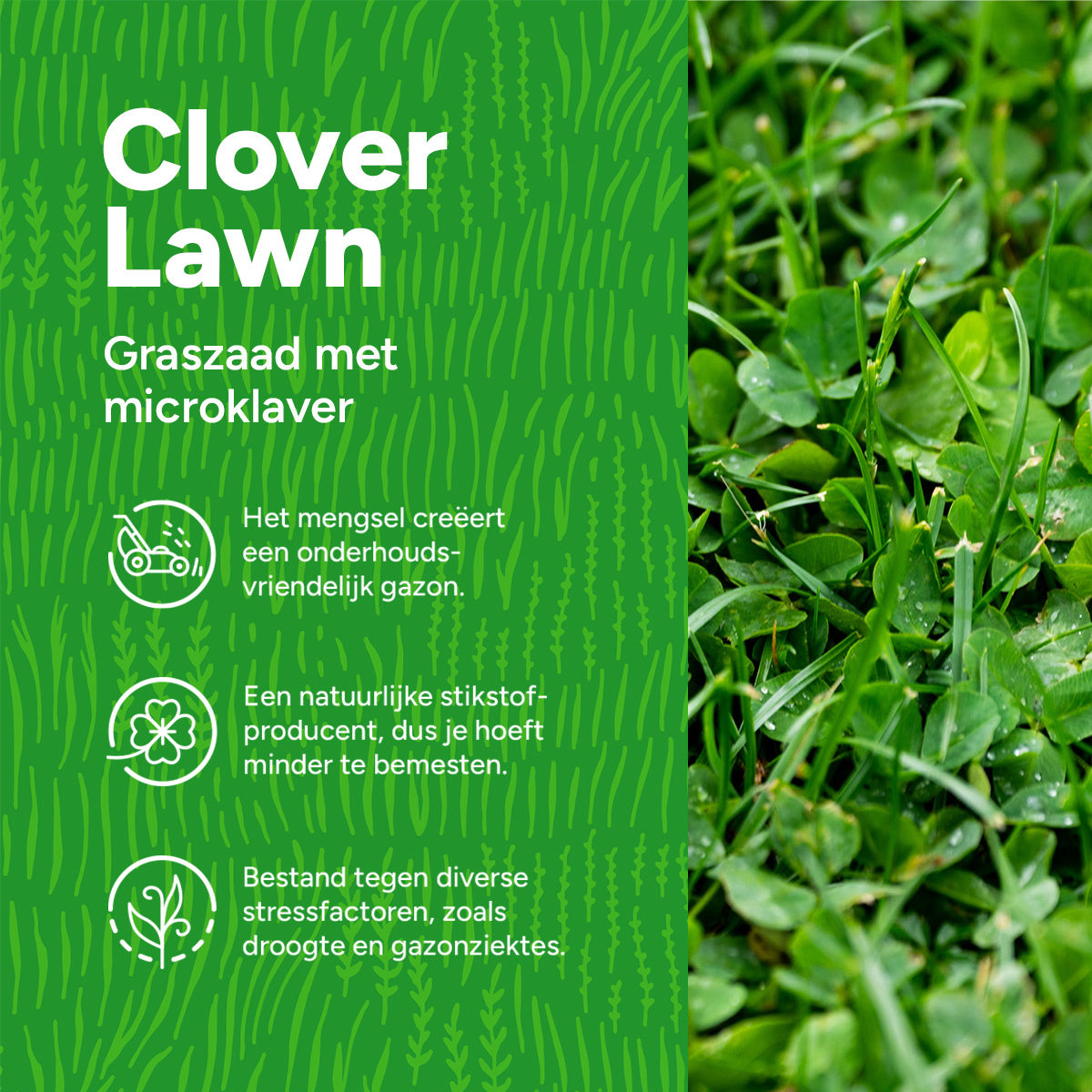 MRS Seeds & Mixtures Clover Lawn - Graszaad met microklaver [nl]