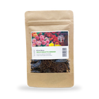 MRS Seeds & Mixtures Dahlia Variabilis - Rigoletto gemengd