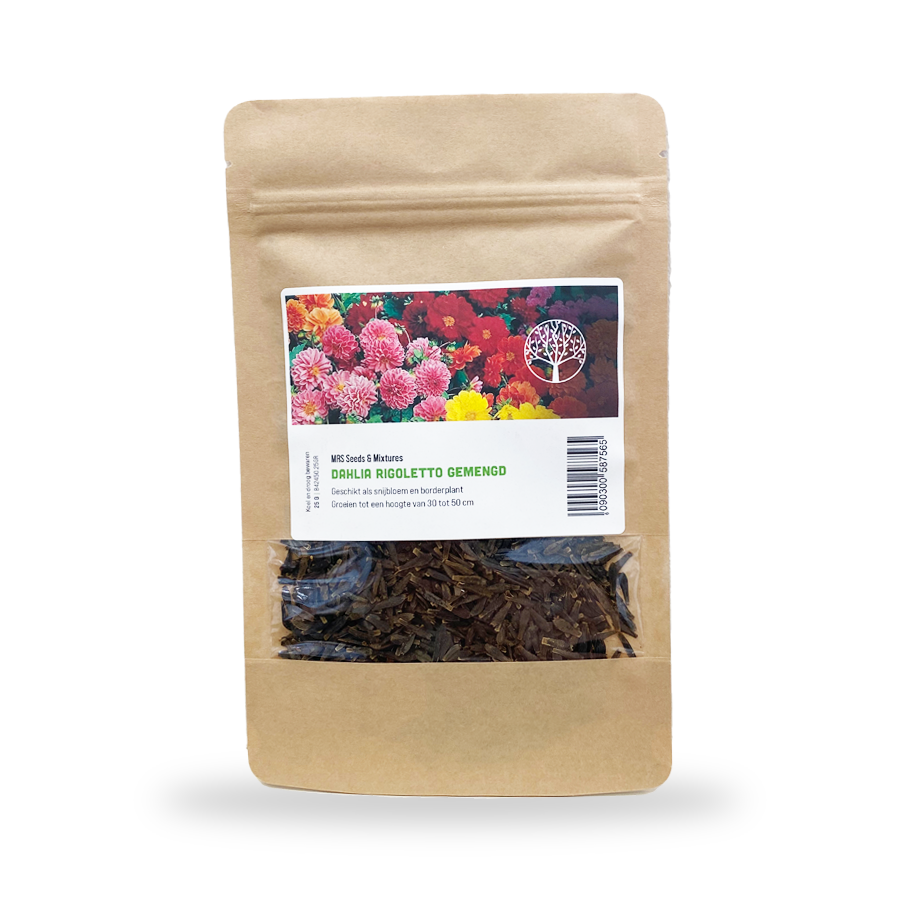 MRS Seeds & Mixtures Dahlia Variabilis - Rigoletto gemengd