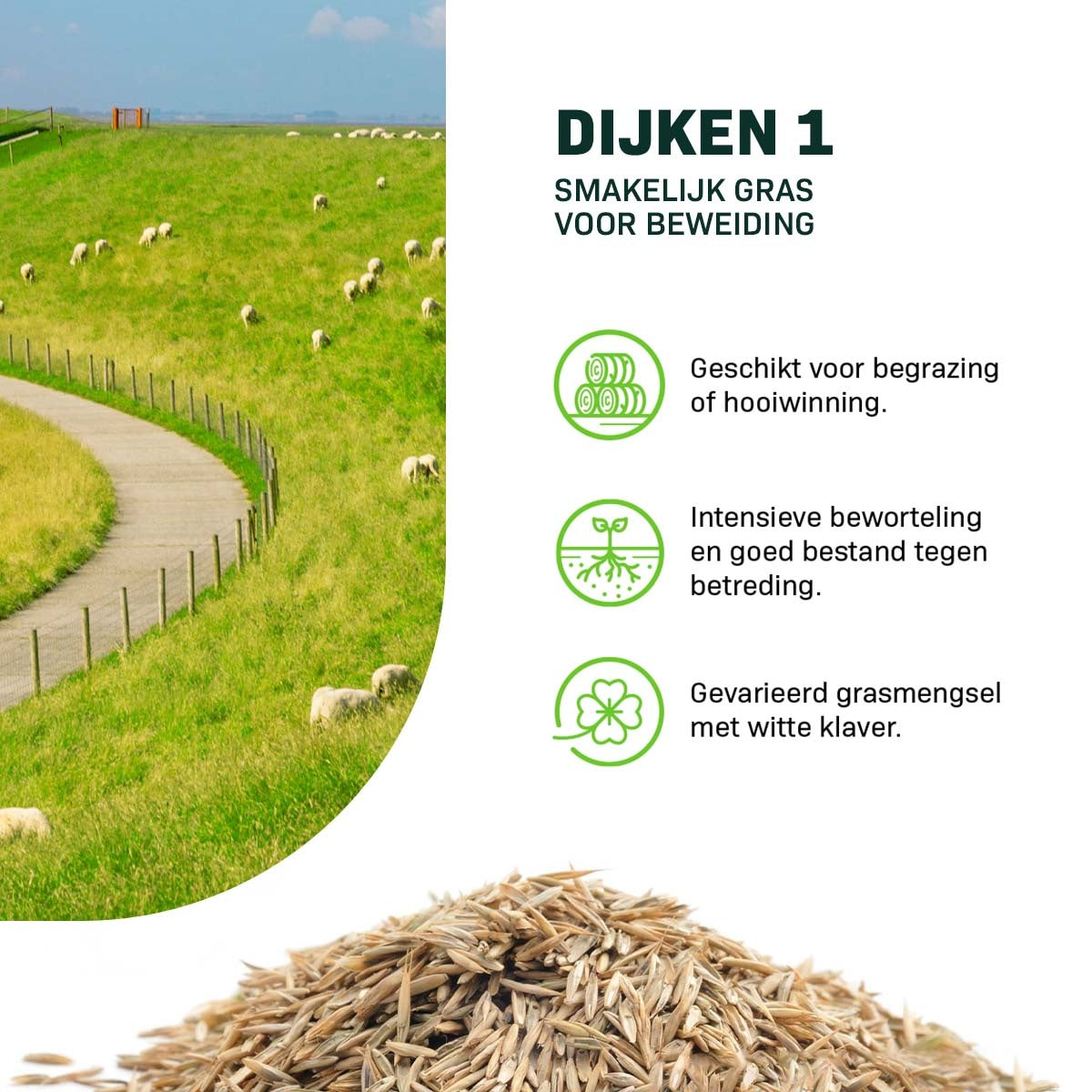 MRS Seeds & Mixtures Dijken 1 - 15 kg | Smakelijk gras voor beweiding [nl]