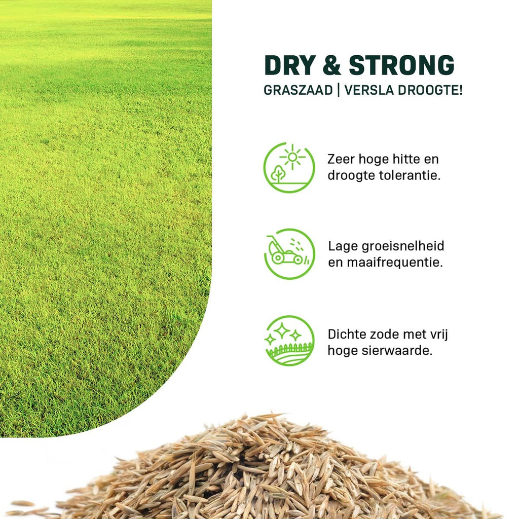 MRS Seeds & Mixtures Dry & Strong - Graszaad | Versla droogte! [nl]