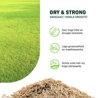 MRS Seeds & Mixtures Dry & Strong - Graszaad | Versla droogte! [nl]