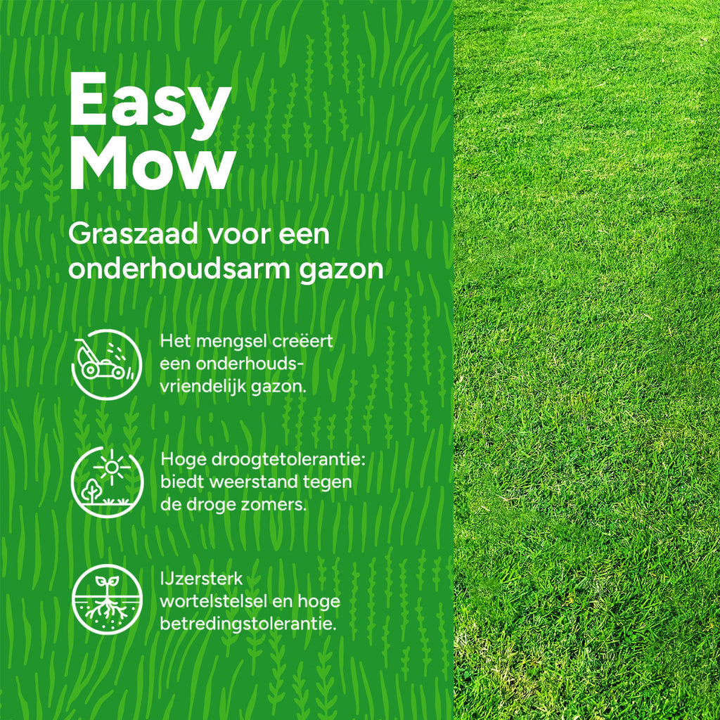 MRS Seeds & Mixtures EasyMow - Graszaad | Weinig onderhoud [nl]