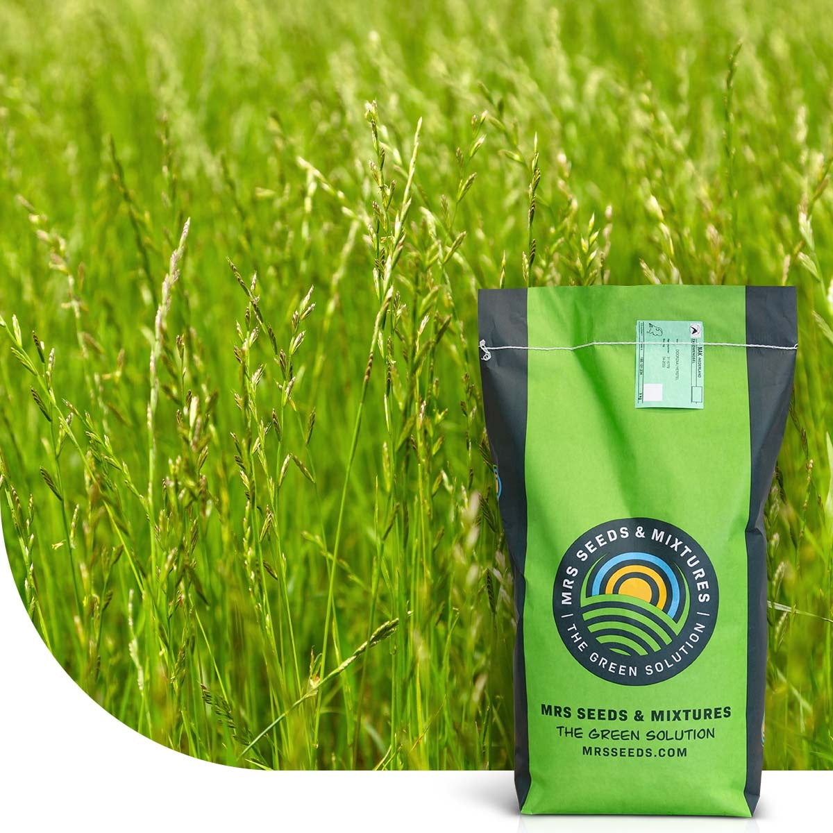 MRS Seeds & Mixtures Engels Raaigras - Lolium perenne