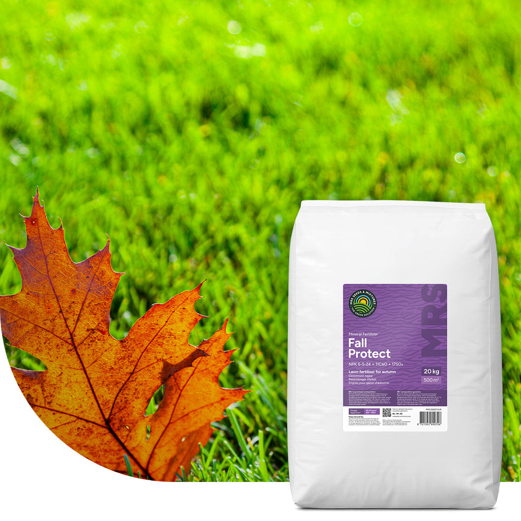 MRS Seeds & Mixtures Fall Protect - Gazonmest Najaar | 20KG-500m2