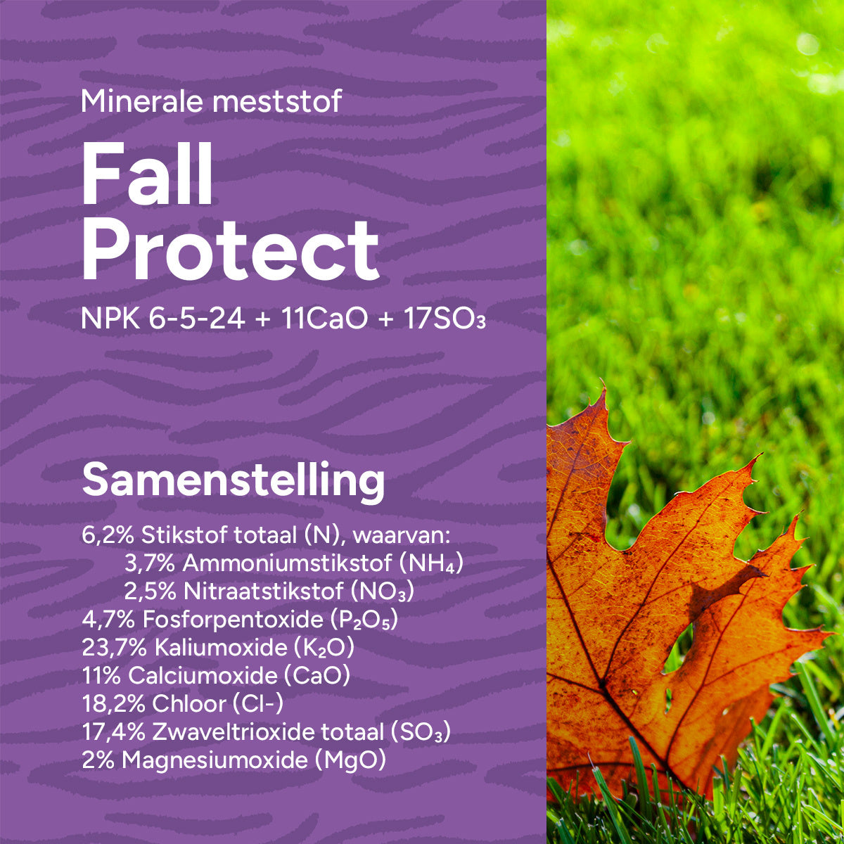 MRS Seeds & Mixtures Fall Protect - Gazonmest Najaar | 20KG-500m2 [nl]