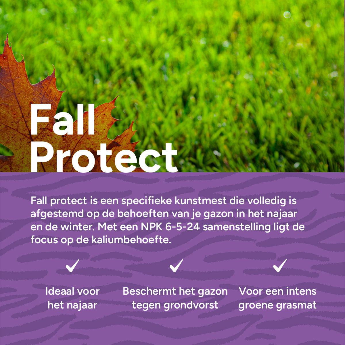 Autumn: Organische Gazonmest Najaar - 20 kg voor 400 m² - Stimuleert Autumn: Organische Gazonmest Najaar - 20 kg voor 400 m² - Stimuleert