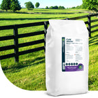 MRS Seeds & Mixtures Field Master - Paardenweidemeststof 20KG