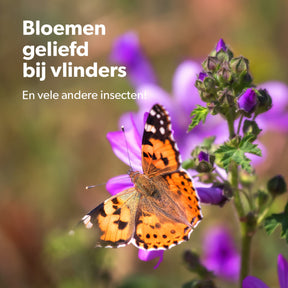 MRS Seeds & Mixtures Flower Bombs - Zaadbommen mix - Originals [nl]