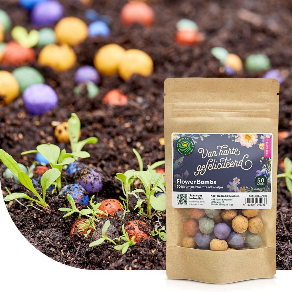 MRS Seeds & Mixtures Flower Bombs - Zaadbommen mix - Van harte gefeliciteerd! [nl]