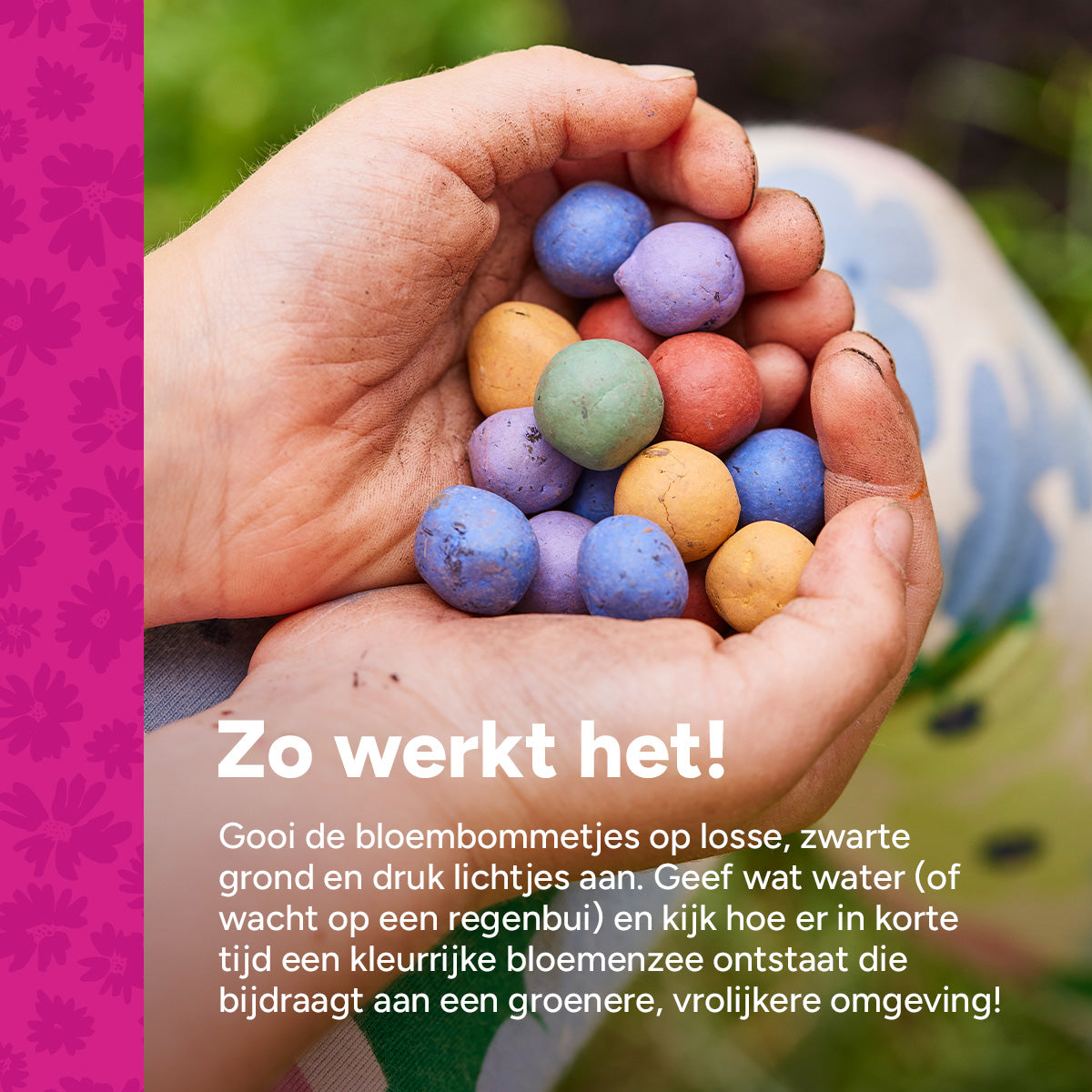 MRS Seeds & Mixtures Flower Bombs - Zaadbommen mix - Van harte gefeliciteerd! [nl]