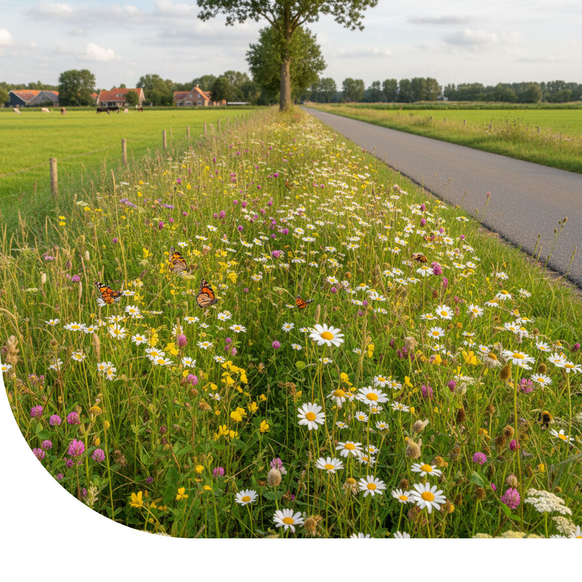 MRS Seeds & Mixtures G5 - Bloemrijk Bermenmengsel [nl]