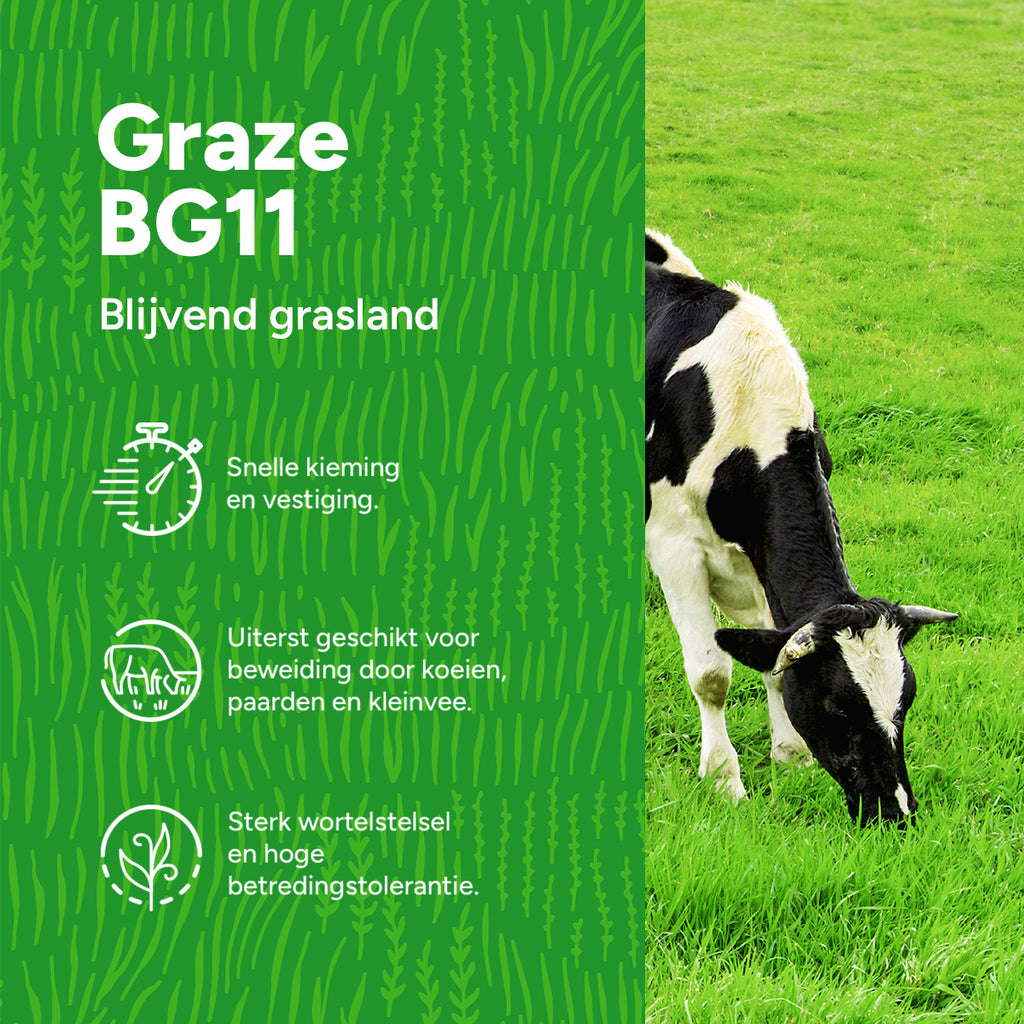 MRS Seeds & Mixtures Graze -  BG11 | Blijvend Grasland [nl]