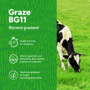 MRS Seeds & Mixtures Graze -  BG11 | Blijvend Grasland [nl]