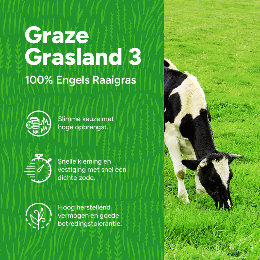 MRS Seeds & Mixtures Graze - Graszaad | Grasland 3 [nl]