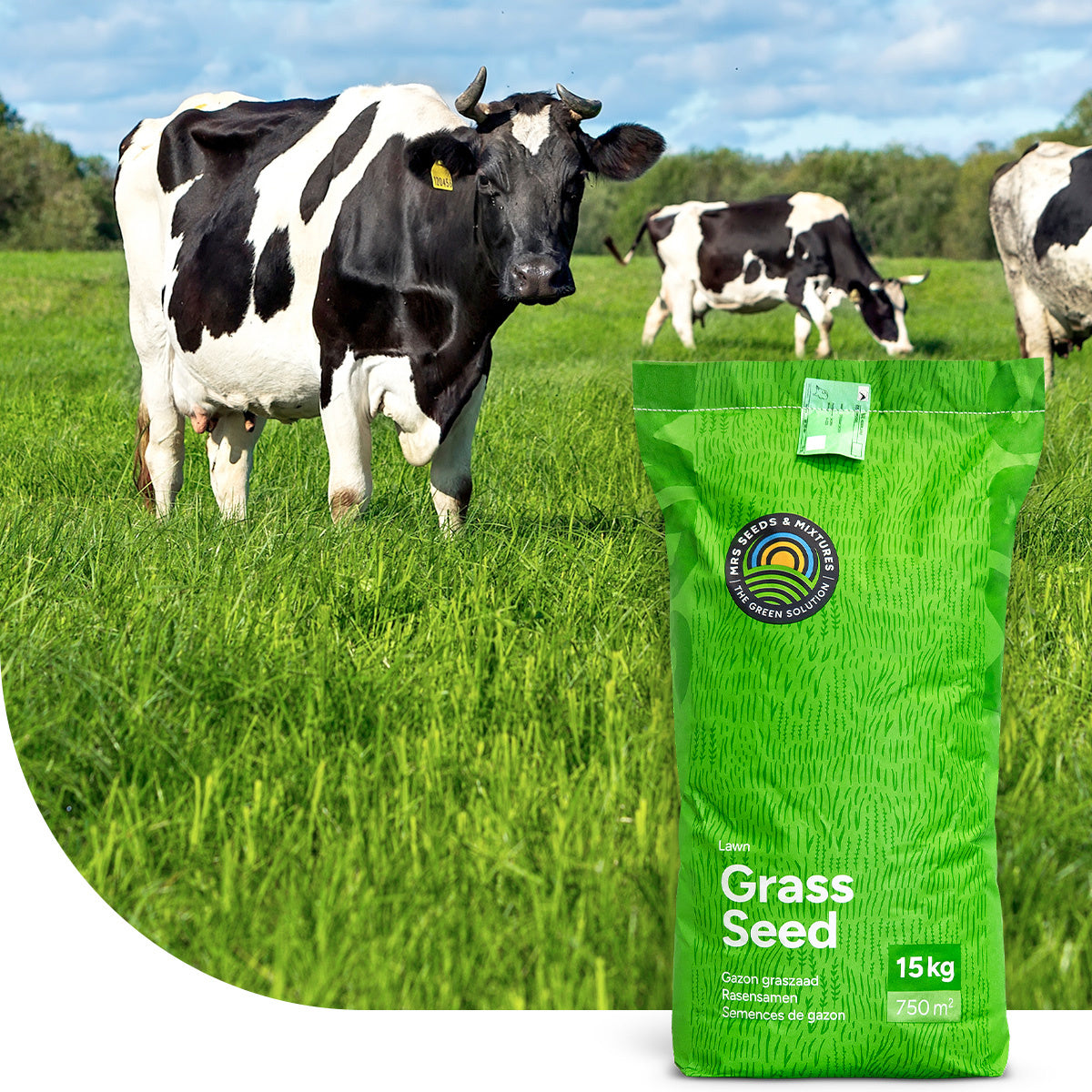 MRS Seeds & Mixtures Graze - Graszaad | Grasland 3