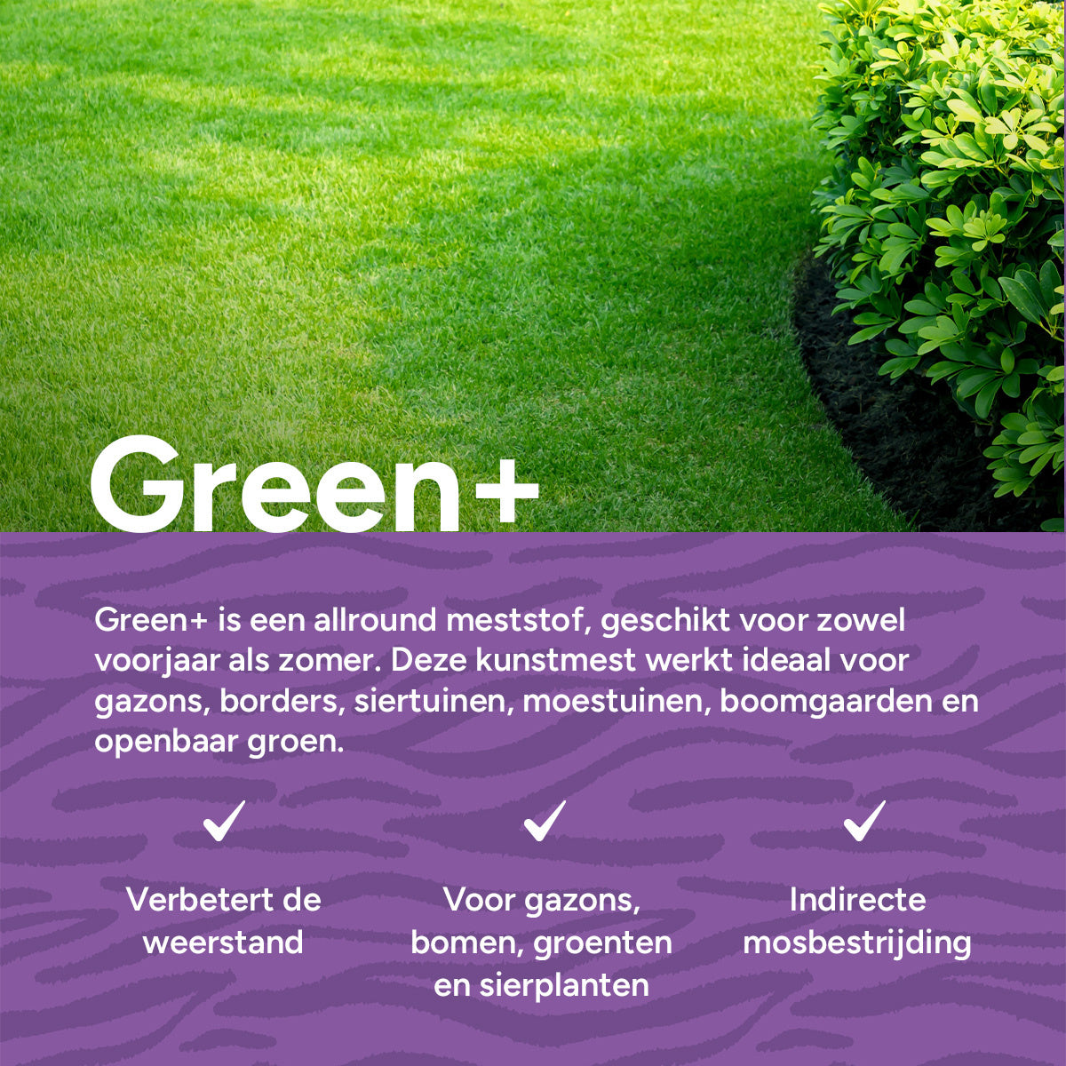 MRS Seeds & Mixtures Green+ Extra Groen & Anti Mos | 20KG-500m2 [nl]