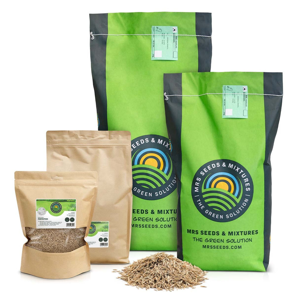 MRS Seeds & Mixtures Green Perfection - Graszaad | Luxe Siergazon