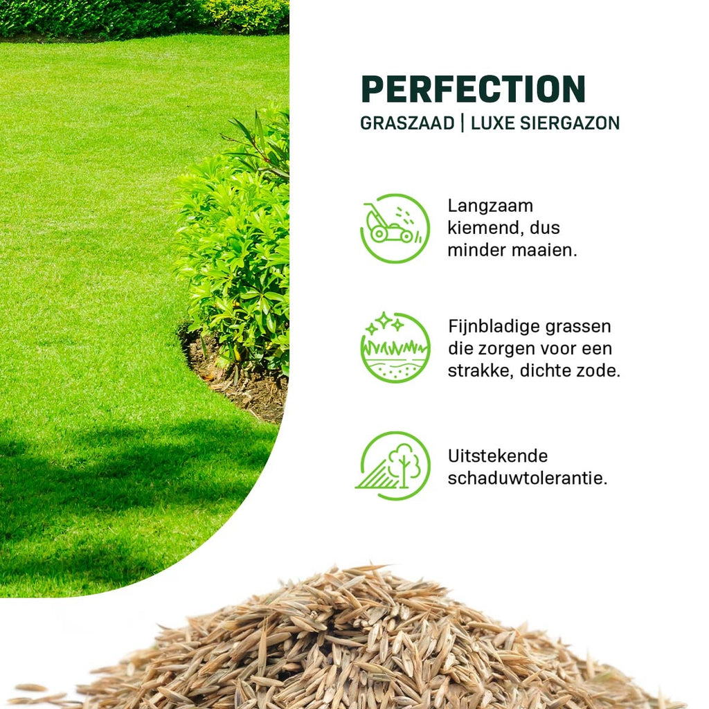 MRS Seeds & Mixtures Green Perfection - Graszaad | Luxe Siergazon [nl]