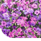 MRS Seeds & Mixtures Hemelroosje Mix - Viscaria Oculata