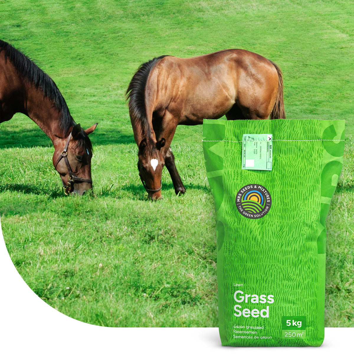 MRS Seeds & Mixtures Horse Low Fructan mix | Paardenweide Laag  Fructaan