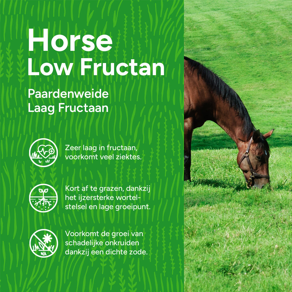 MRS Seeds & Mixtures Horse Low Fructan mix | Paardenweide Laag  Fructaan [nl]