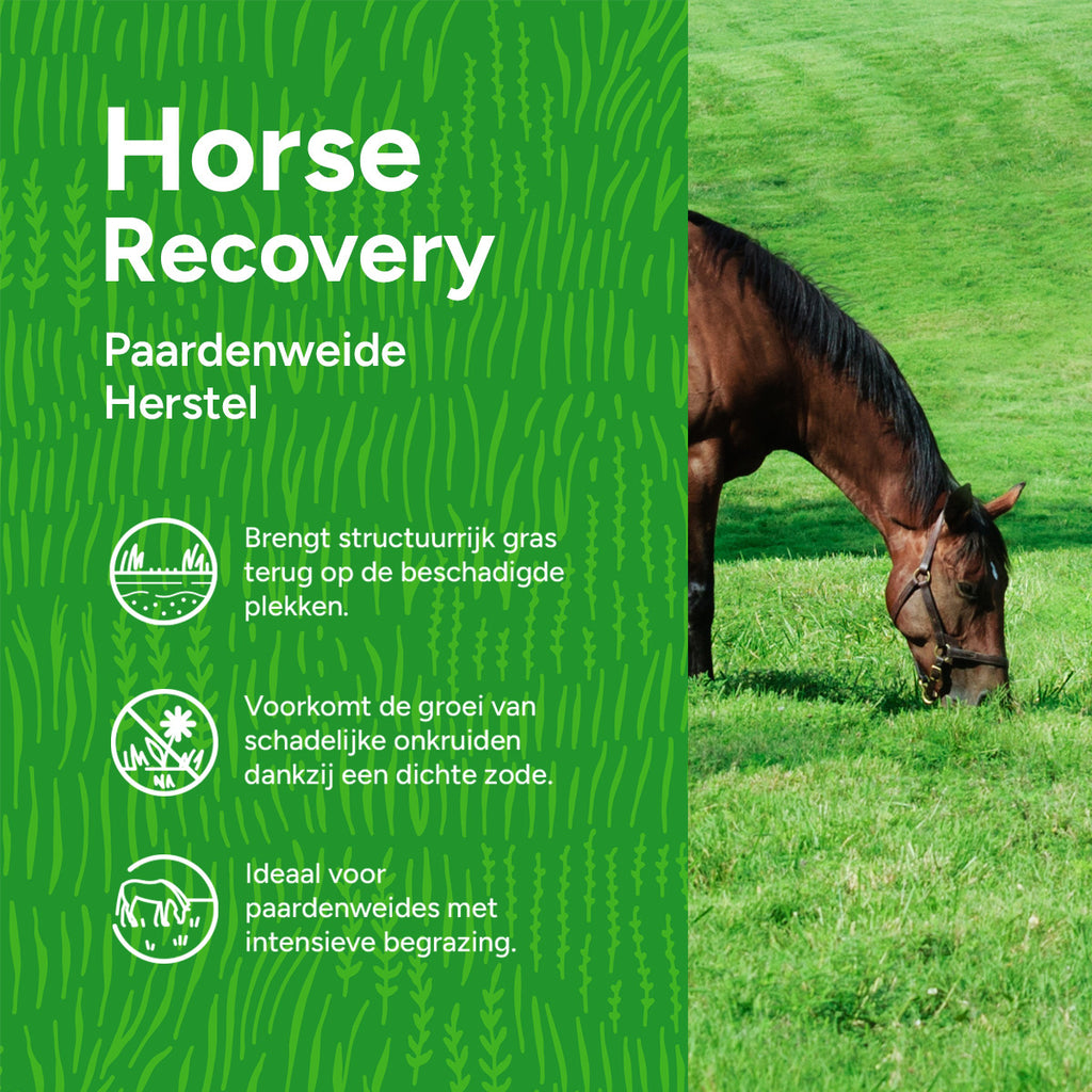 MRS Seeds & Mixtures Horse - Recovery mix | Herstel Paardenweide [nl]