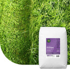 MRS Seeds & Mixtures Kickstart - Gazonmest voorjaar | 20KG-500m2