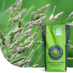 MRS Seeds & Mixtures Kropaar - Dactylis glomerata