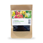 MRS Seeds & Mixtures Leeuwenbekje  gemengd