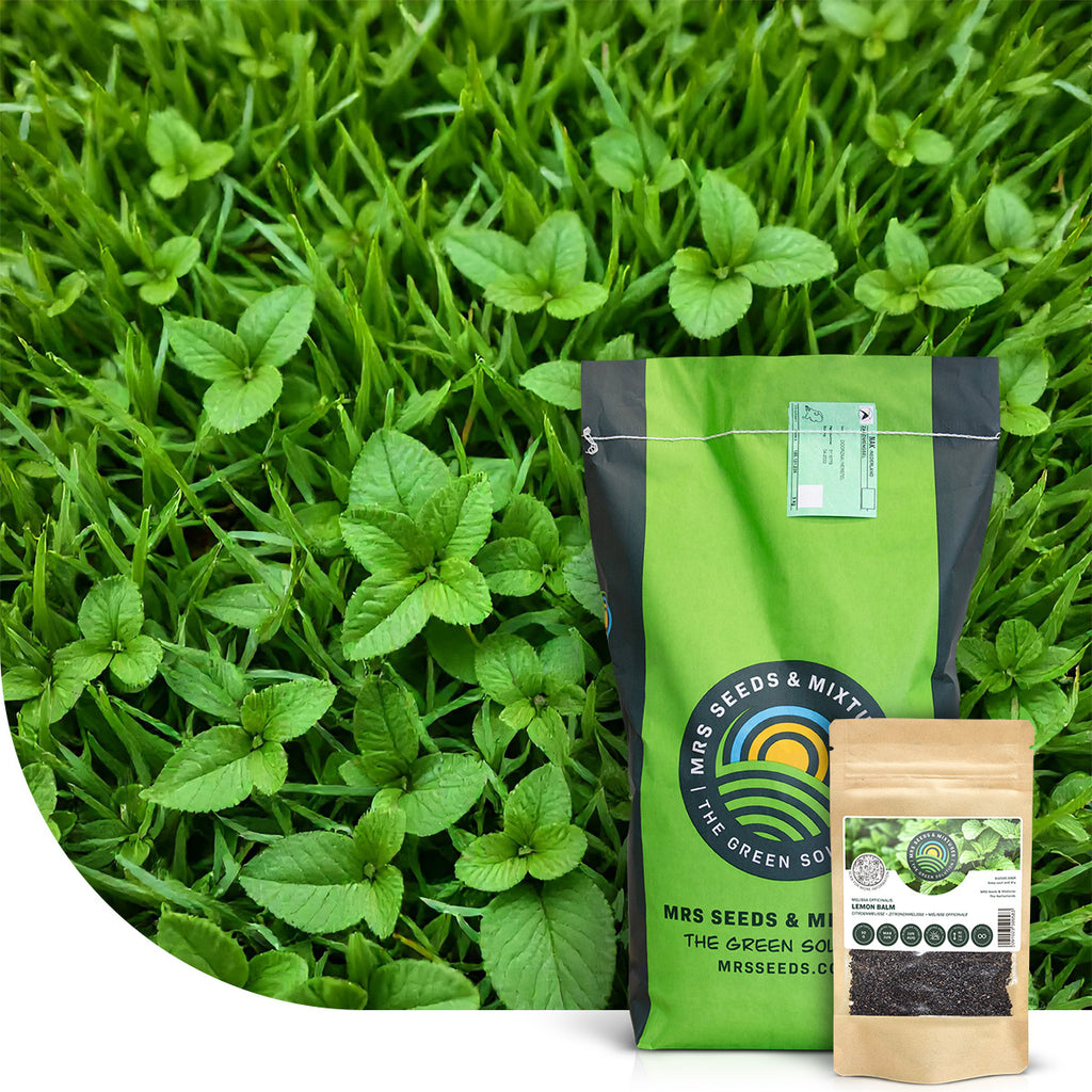 MRS Seeds & Mixtures Lemon Lawn - Graszaad Anti-Muggen Gazon