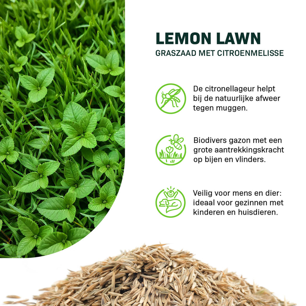 MRS Seeds & Mixtures Lemon Lawn - Graszaad Anti-Muggen Gazon [nl]