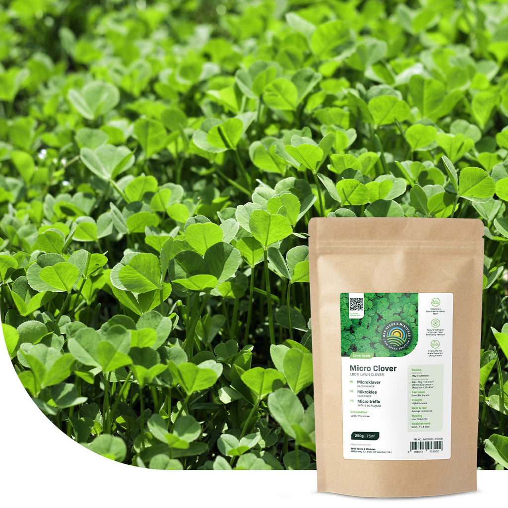 MRS Seeds & Mixtures Microklaver - Gazonklaver
