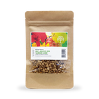 MRS Seeds & Mixtures Oost-Indische kers 'Glorious Gleam'