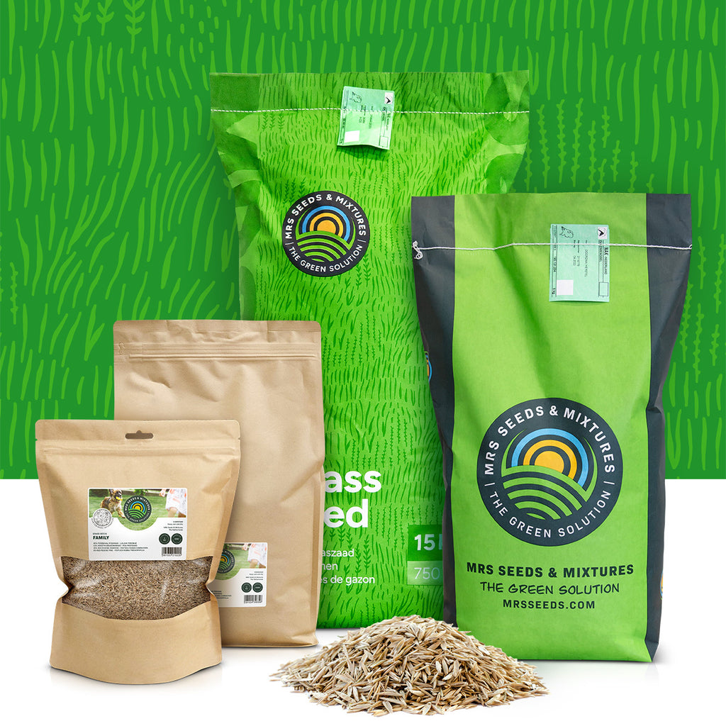 MRS Seeds & Mixtures Play & Sport - Speel & Sportgazon Graszaad