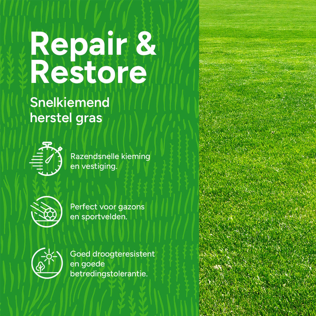 MRS Seeds & Mixtures Repair & Restore - Gazonherstel | Snelkiemend graszaad [nl]