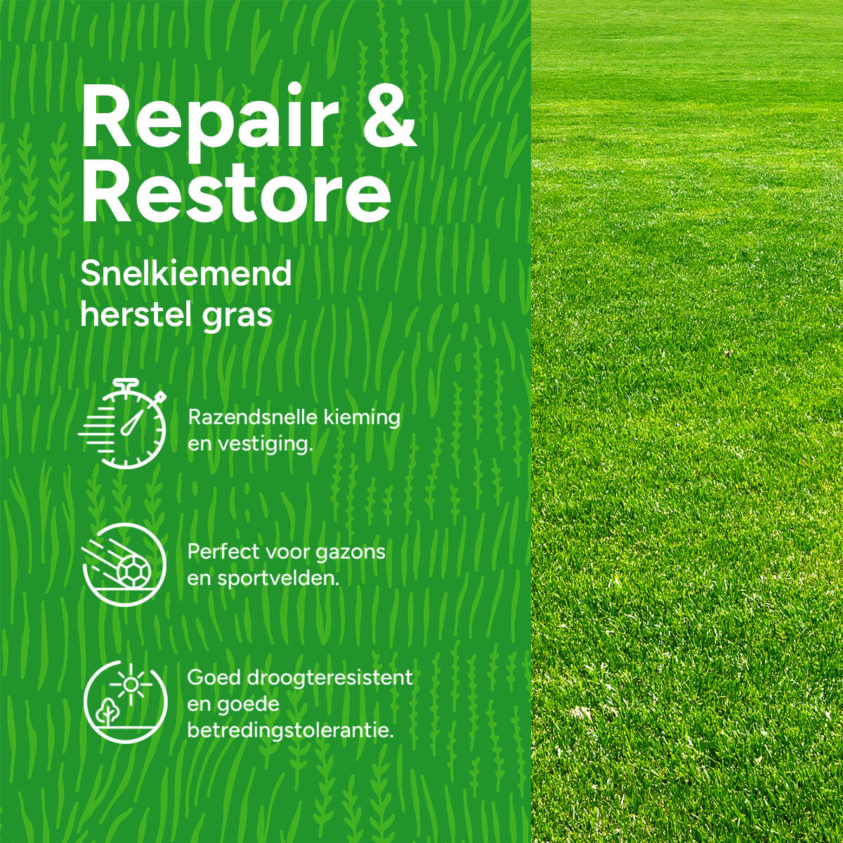 MRS Seeds & Mixtures Repair & Restore - Gazonherstel | Snelkiemend graszaad [nl]