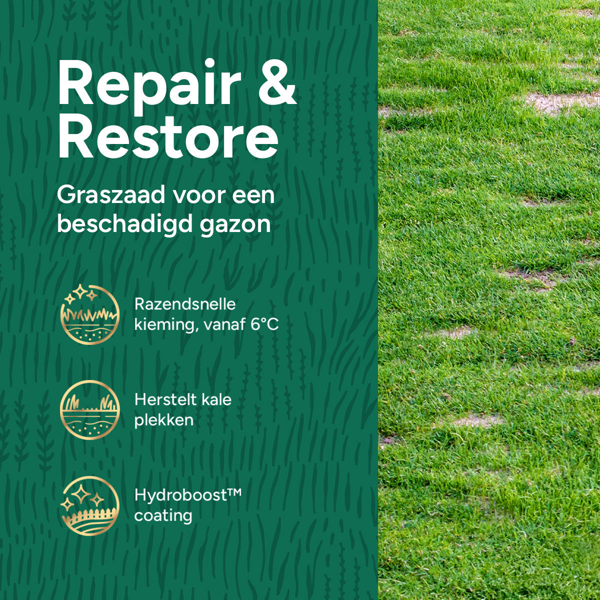 MRS Seeds & Mixtures Repair & Restore Premium - Graszaad voor gazonherstel 10KG [nl]